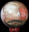 Colorful Petrified Wood Sphere #49768-1